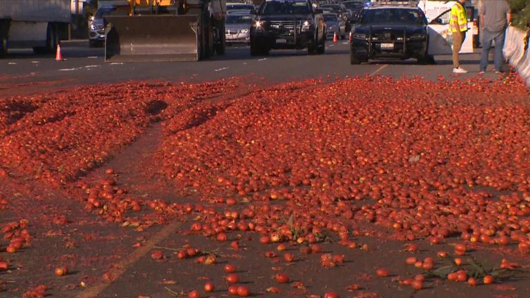 Thousands of tomatoes are strewn across a California road