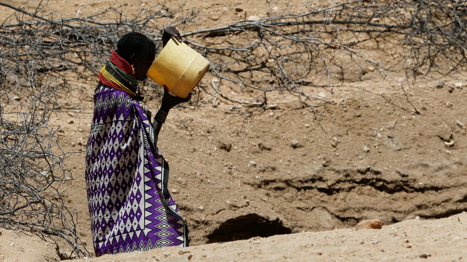 « Tout mon bétail est mort » : la sécheresse entraîne une crise de la faim au Kenya |  Nouvelles du monde