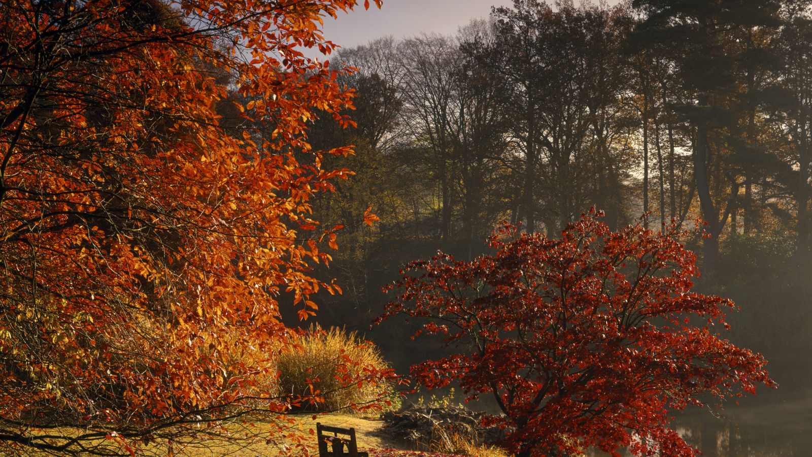 National Trust says that autumn colours will be unique