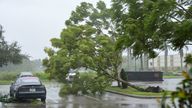 Gusts from Hurricane Ian begin to knock down trees in a hotel car park in Sarasota, Florida