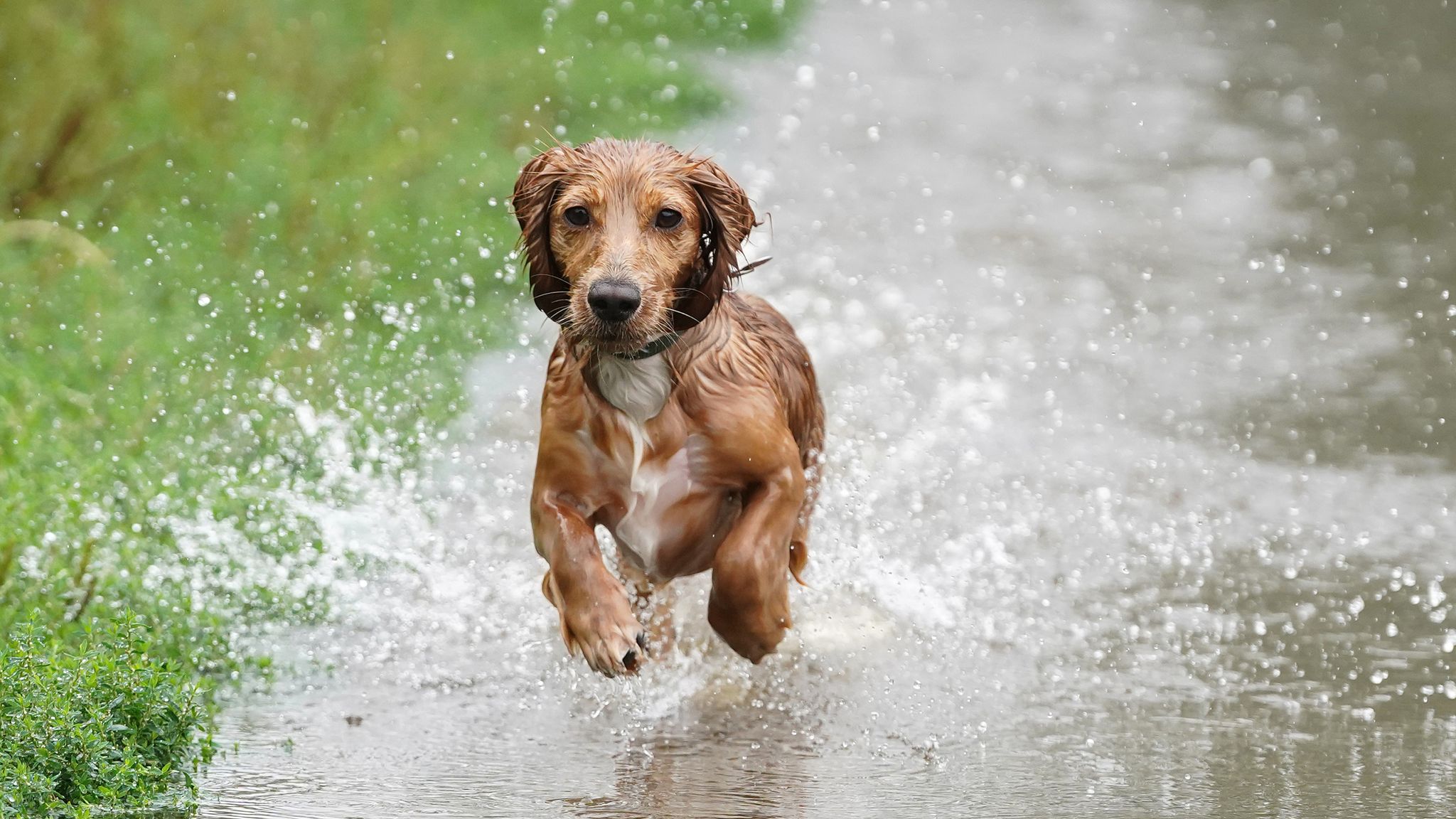 UK weather: Big drop in temperatures expected as significant strong ...