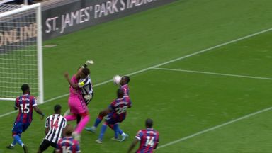 Ref Watch: 'Newcastle should have had a penalty'
