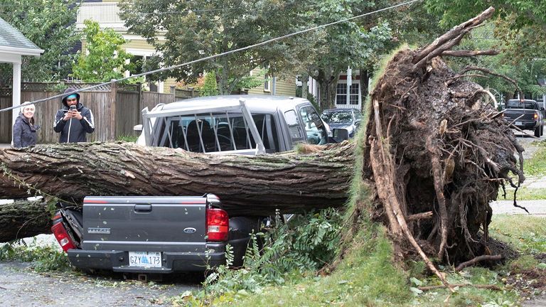 A fallen tree lies on a crushed pickup truck following the passing of Hurricane Fiona, later downgraded to a post-tropical storm, in Halifax, Nova Scotia, Canada September 24, 2022. REUTERS/Ted Pritchard