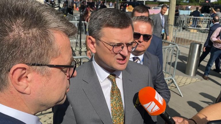 Dmytro Kuleba says referenda 