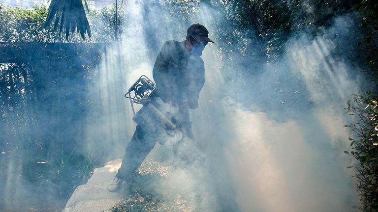 Bangkok'taki bir köyde bir işçi sivrisinekler için böcek ilacı püskürtüyor.  resim dosyası