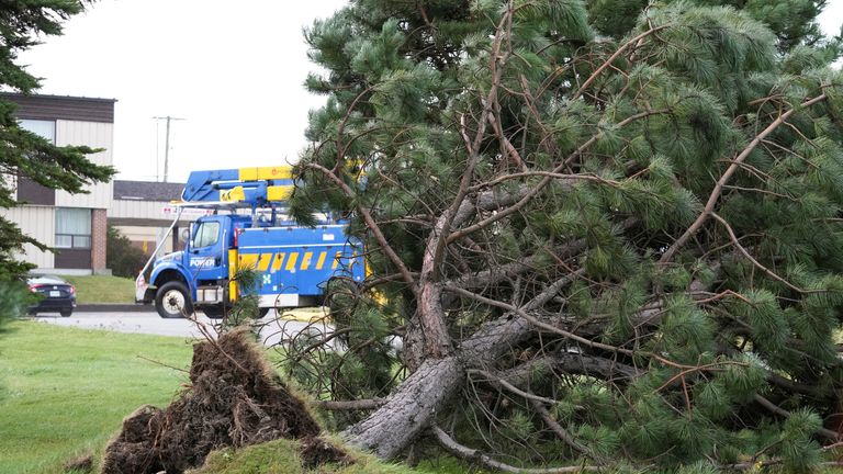 A fallen tree lies in front of a parked Newfoundland electric truck following the arrival of Hurricane Fiona in Stephenville, Newfoundland, Canada September 24, 2022. REUTERS / John Morris