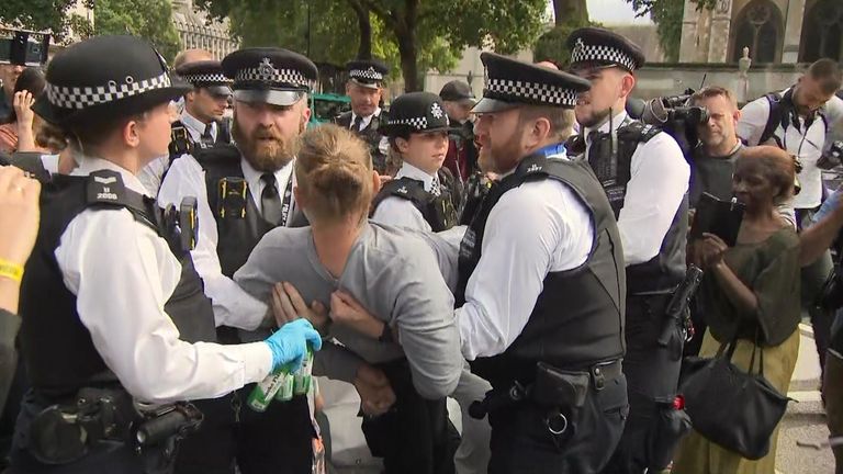 Climate protester removed from road in Central London