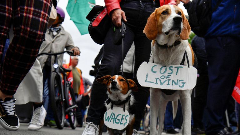 Dogs, Buster and Bailey, wear signs during a protest about the rising cost of living in the city centre of Dublin, Ireland, June 18, 2022. REUTERS/Clodagh Kilcoyne TPX IMAGES OF THE DAY