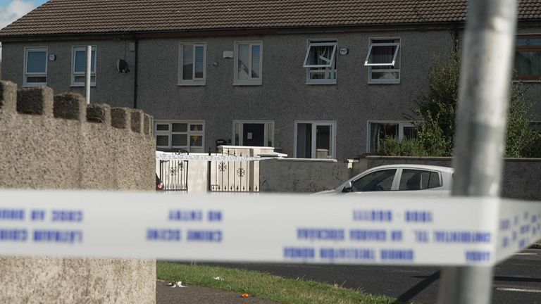 Irish police are investigating the deaths of an 18-year-old girl and eight-year-old twins in a Dublin estate.