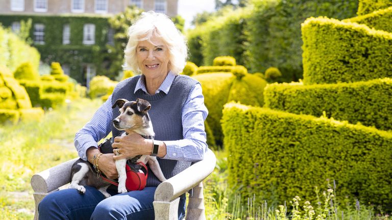 Undated handout photo issued by ITV of the Duchess of Cornwall with her dog Beth at Highgrove as an ITV documentary charting her guest editorship of Country Life called Camilla&#39;s Country Life airs on Wednesday 13th July 9pm on ITV. Issue date: Sunday July 10, 2022.