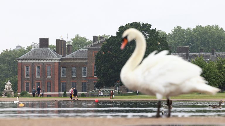 Un cygne est vu avec le palais de Kensington en arrière-plan, à Londres, en Grande-Bretagne, le 28 juin 2021. REUTERS/Henry Nicholls