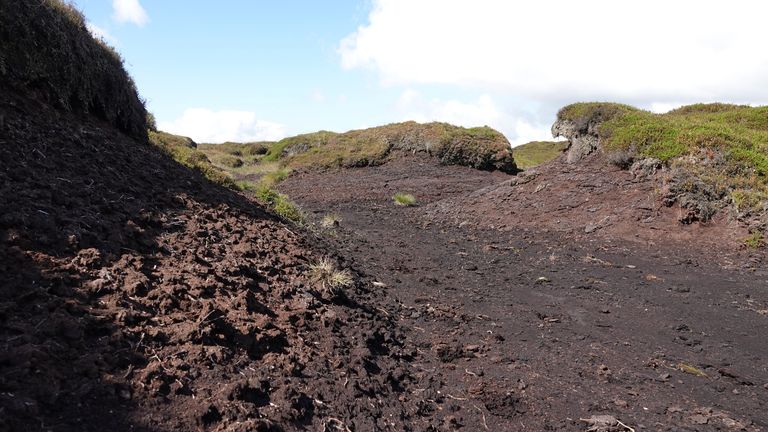 Bare peat on the control site of the Kinder National Nature Reserve, used for scientific research. Pic: National Trust 