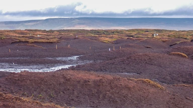 Before restoration - an area of bare peatland on Kinder in 2010 - Fixed point photo overlooking an area called Olaf - Image credit - Prof. Tim Allott, Manchester University