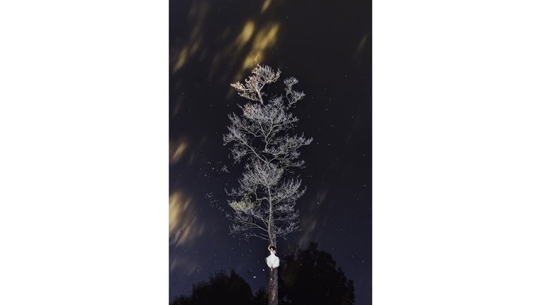 Siena Awards: Drone Photo Awards 2022.   
Wedding: 1st classified -   Like a Painted Picture by Krzysztof Krawczyk
The effect of the sun on the water, a felled tree and a brave bride lying on it: a magnificent picture drawn by nature. The surface of the water looks like a starry night sky, while the bride looks seems a dreamy princess.
