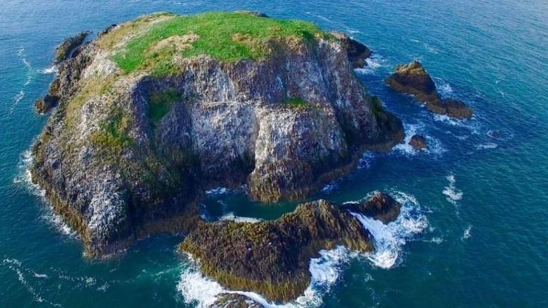 Lamb Island is a rocky outcrop off the east coast of Scotland in the Firth of Forth 