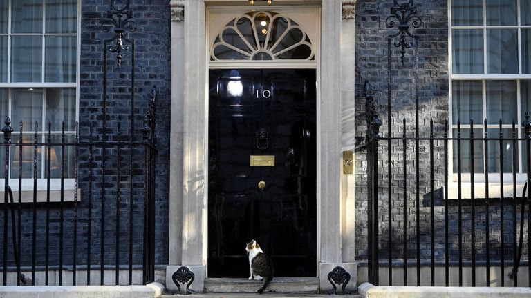 Larry the cat sits on the doorstep of 10 Downing Street after the departure of outgoing British Prime Minister Boris Johnson on his last day in office, in London, Britain September 6, 2022. REUTERS/Toby Melville
