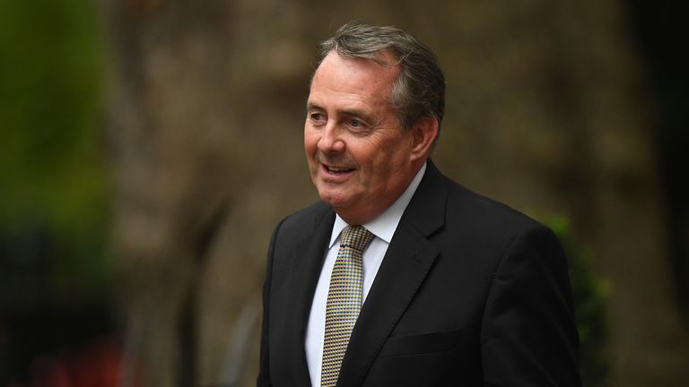 Conservative MP and former minister Liam Fox