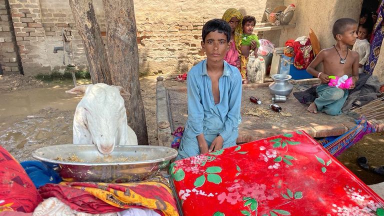 Image from the village of Jan Mohammad in the Kacha Area of ​​the Indus River in Dadu, Sindh . Province