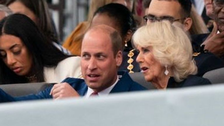 Prince William and Queen Consort are both Privy Counselors