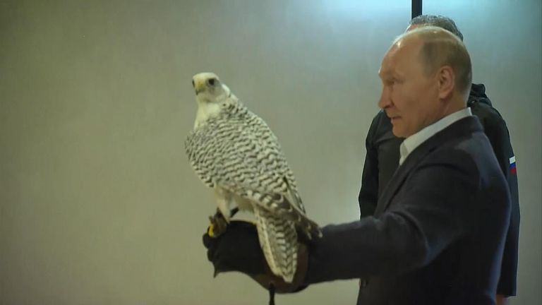 President Putin shows off his falconry skills