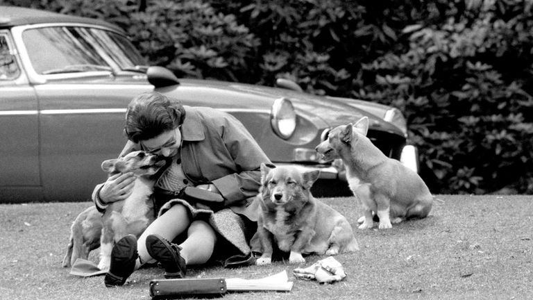 File photo dated 12/5/1973 of Queen Elizabeth II sitting on a grassy bank with the corgis at Virginia Water to watch competitors, including Prince Philip, in the Marathon of the European Driving Championship, part of the Royal Windsor Horse Show. During her reign, the Queen owned more than 30 corgis, with many of them direct descendants from Susan, who was given to her as an 18th birthday present by her parents in 1944 and was so loved that she accompanied Princess Elizabeth on her honeymoon. Is
