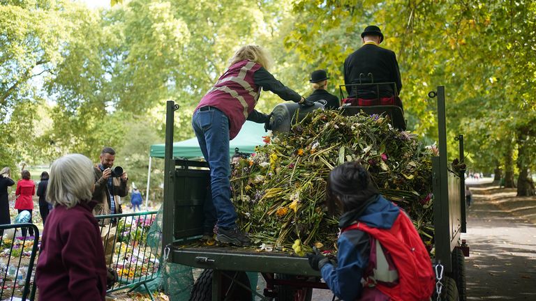 Royal Parks staff and volunteers start removing floral tributes from Green Park in London to be taken to the Hyde Park nursery then composted in Kensington Gardens. The compost will then be used on landscaping projects and shubberies across the Royal Parks. Picture date: Monday September 26, 2022.
