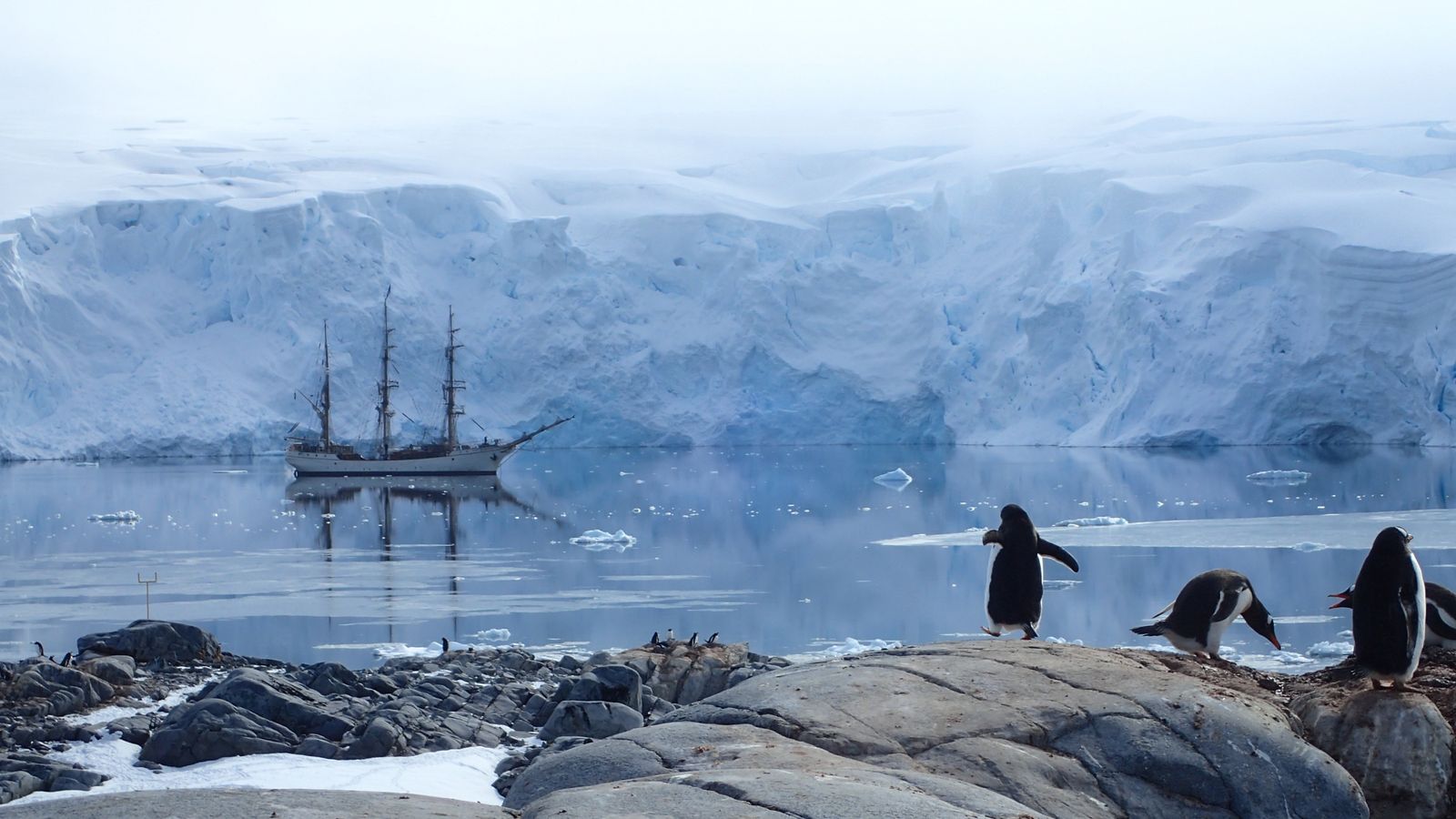 Quatre femmes sélectionnées pour vivre et travailler dans une partie reculée de l’Antarctique avec une colonie de pingouins |  Nouvelles du Royaume-Uni