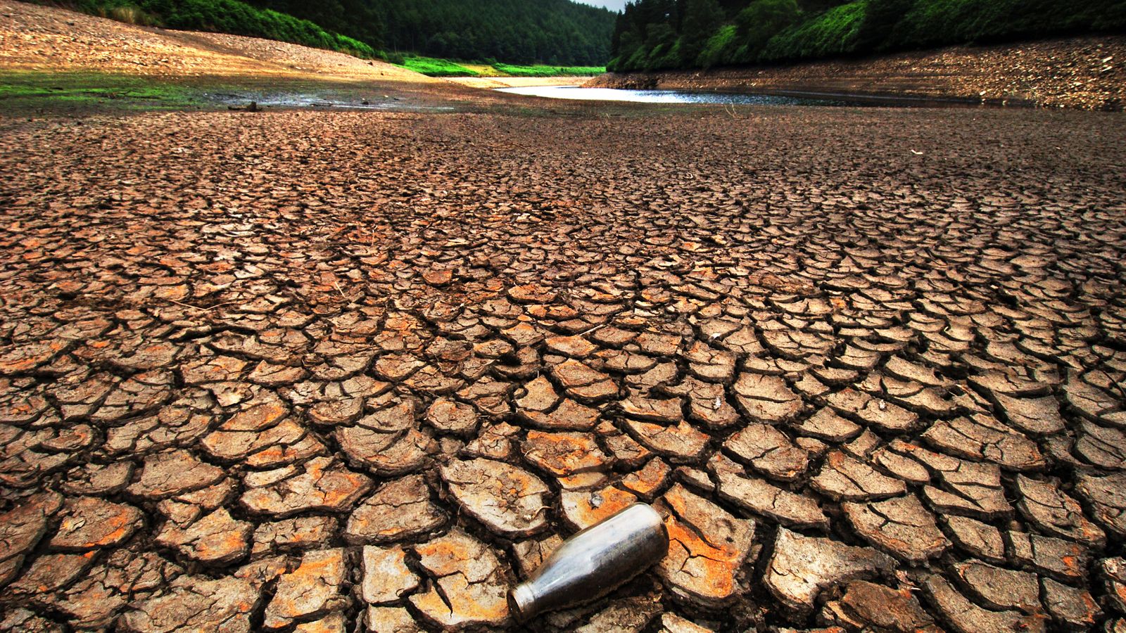 Winter rainfall not enough to prevent spring drought next year ...