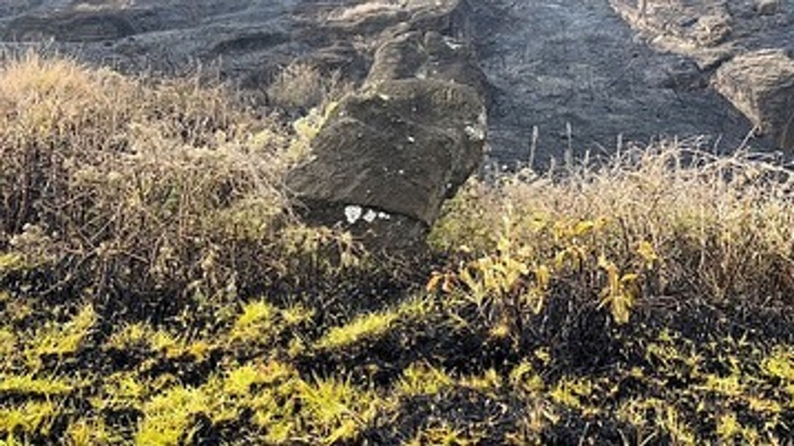 Easter Island statues suffer 'irreparable' damage in fire World News Sky News