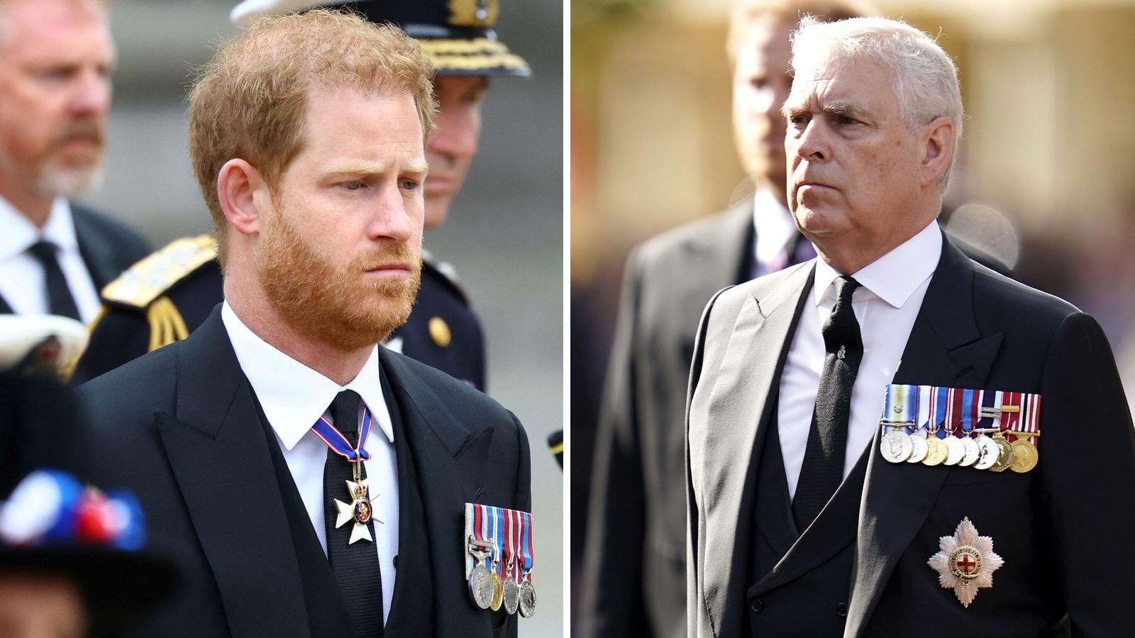 Prince Andrew's and Prince Harry's ability to step in for the King challenged in House of Lords 