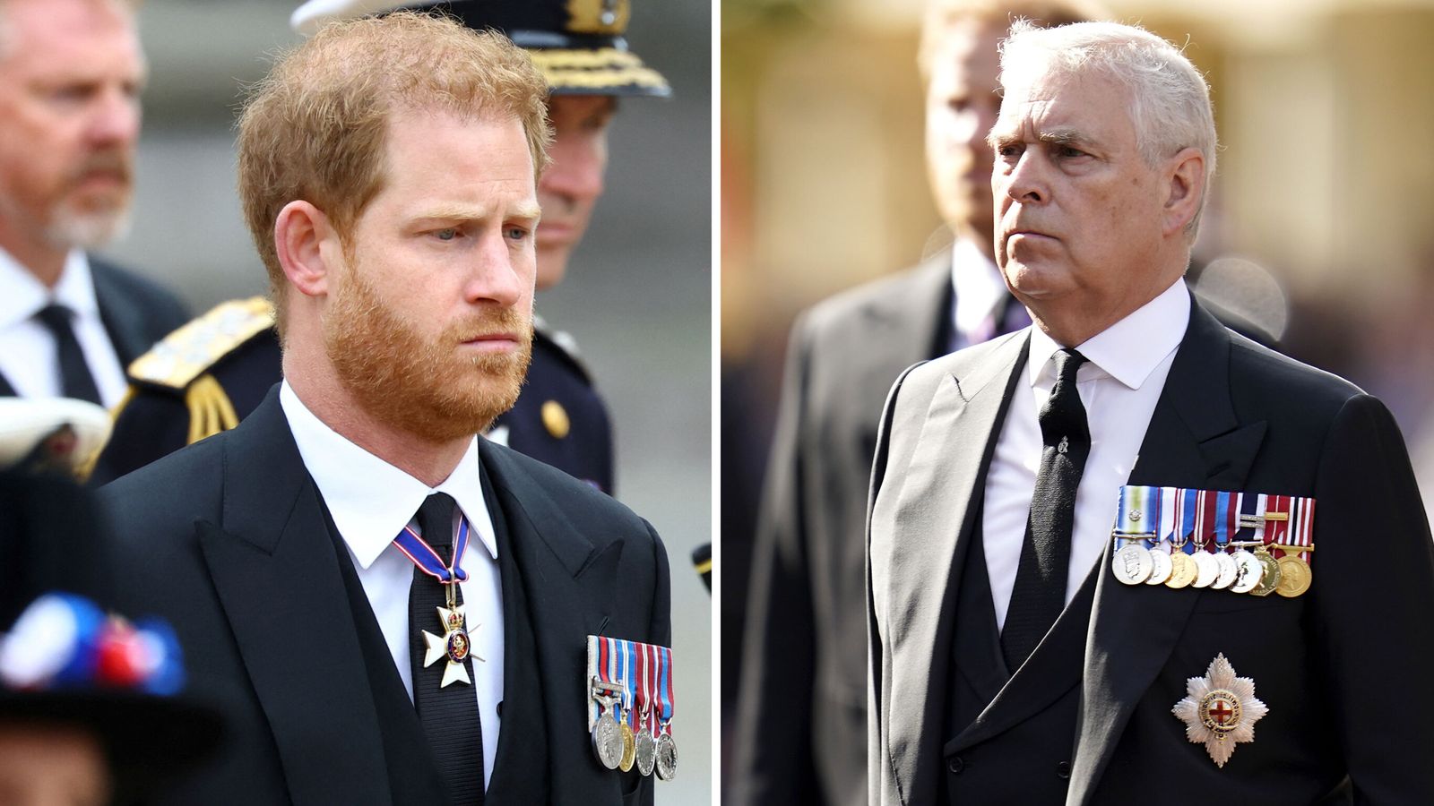 Prince Andrew's and Prince Harry's ability to step in for the King  challenged in House of Lords | UK News | Sky News