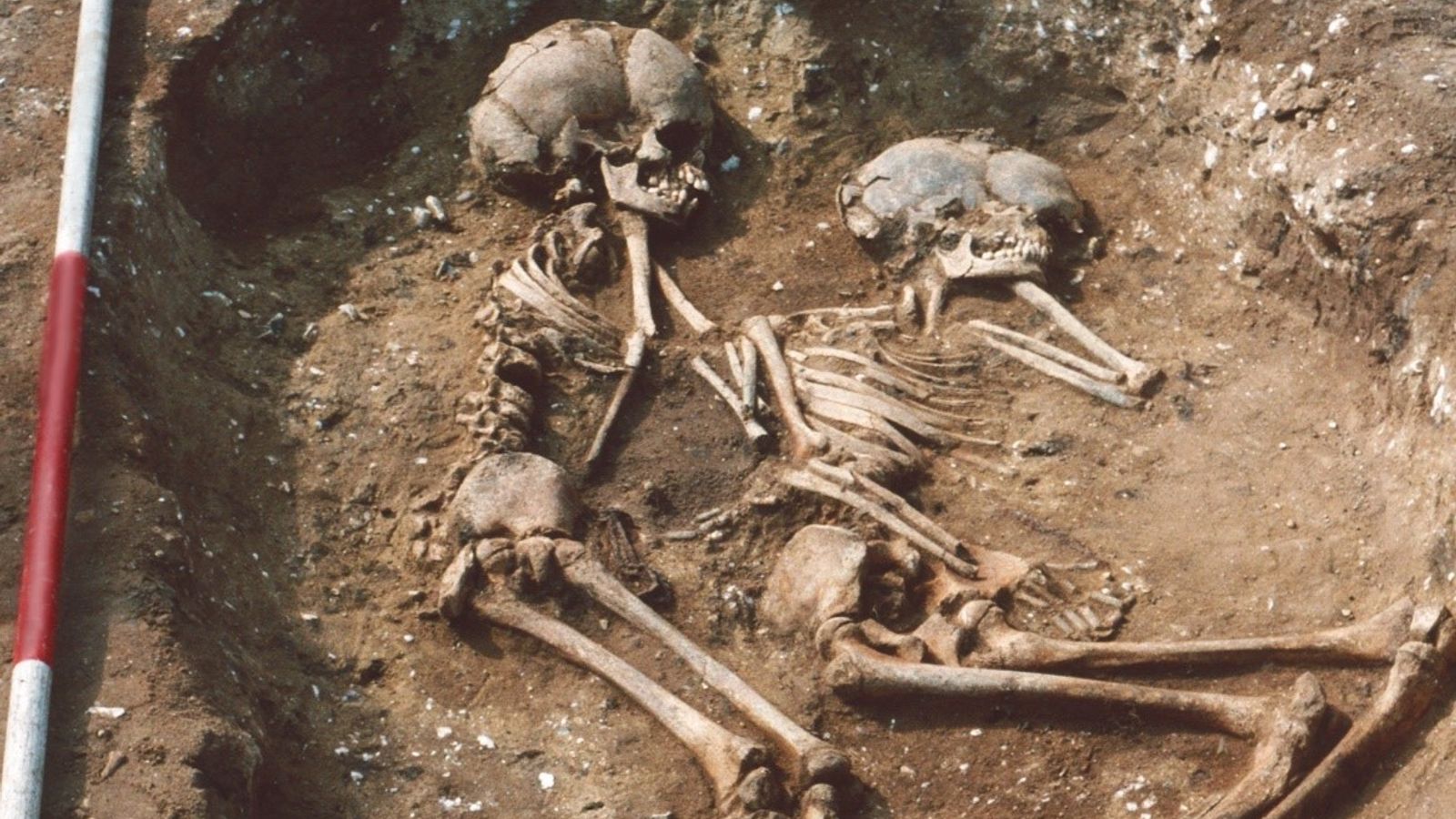 DNA from skeletons reveals where first people to call themselves English came from 
