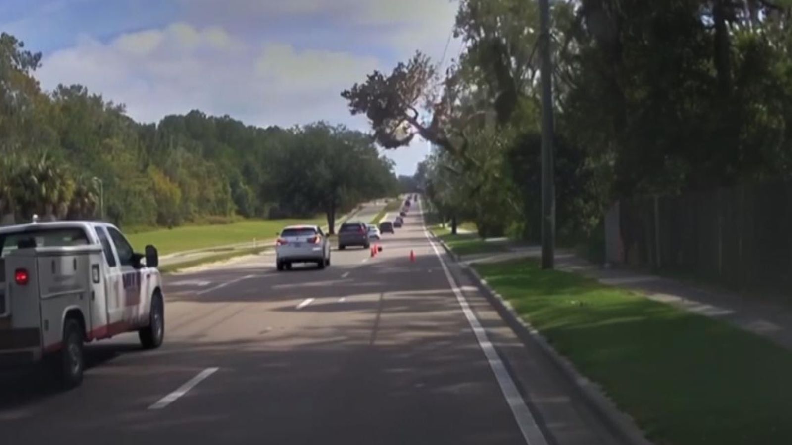 Tree falls on moving vehicle although no one is injured | US News | Sky ...