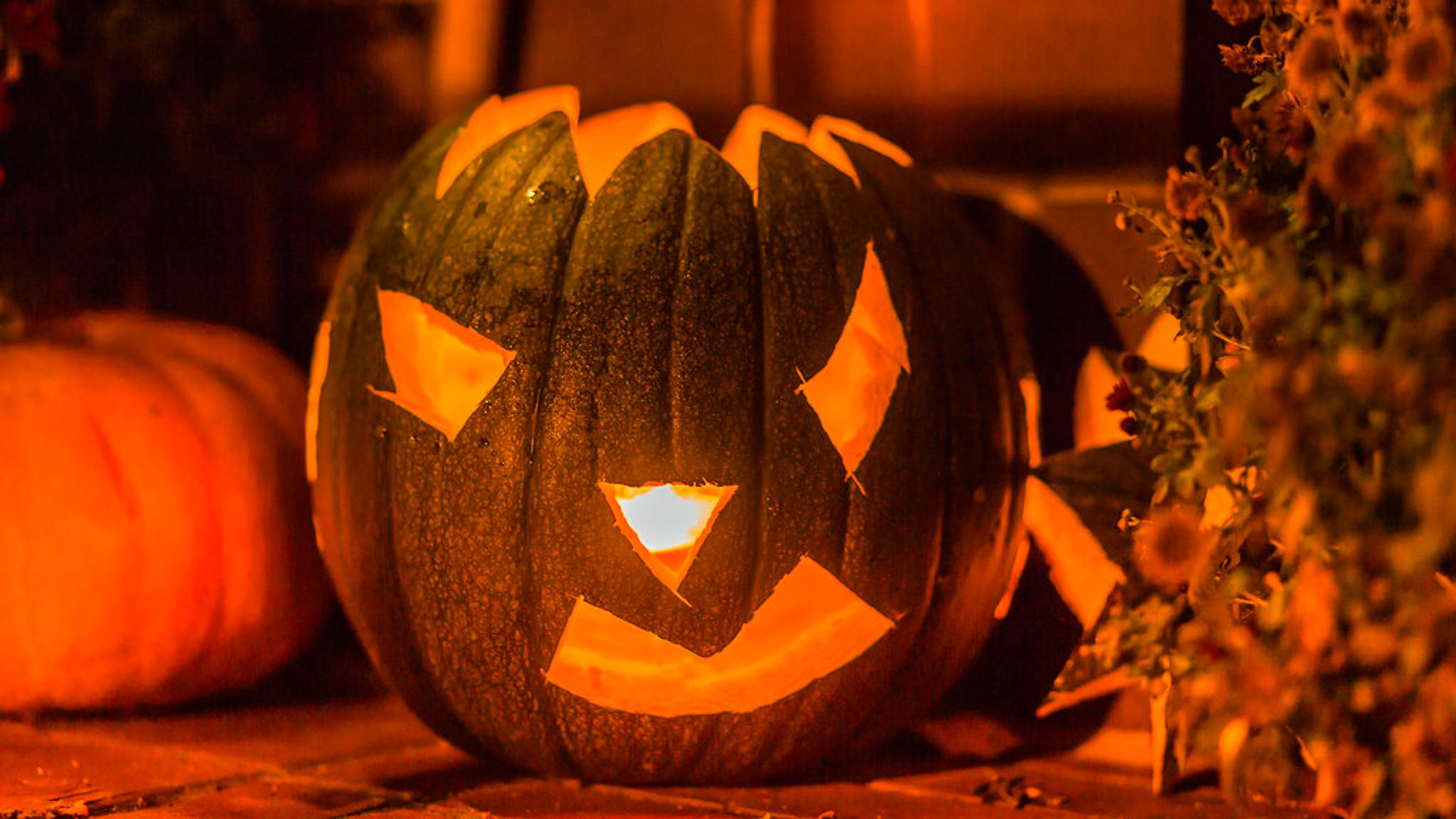 Don't leave Halloween pumpkins in woodlands, people warned | UK News | Sky  News