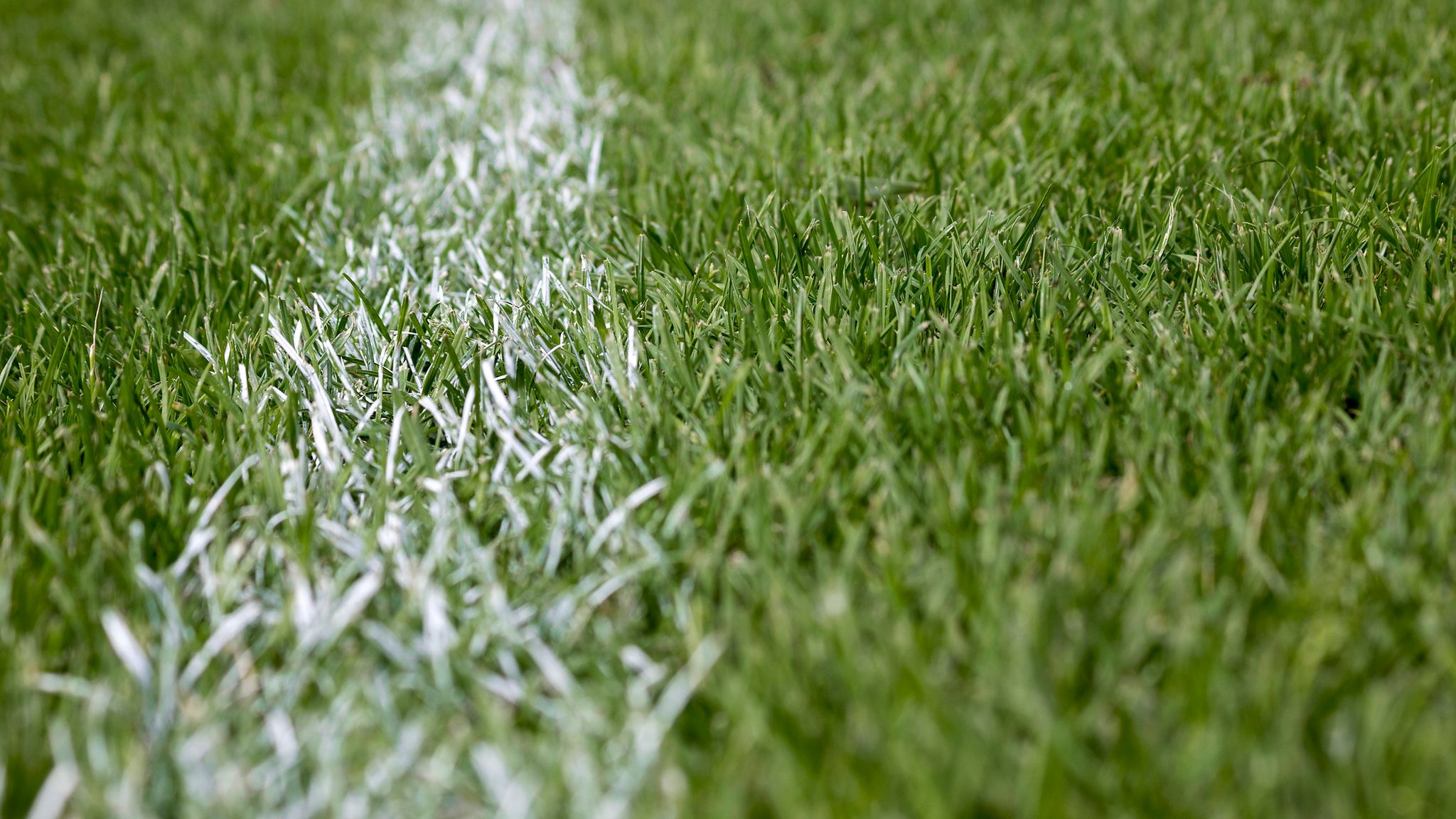 Man arrested on suspicion of serious assault after football referee  attacked on pitch | UK News | Sky News