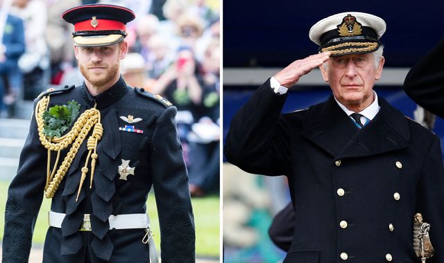 King Charles will take over as Captain General of Royal Marines from Prince Harry - Vimarsana News