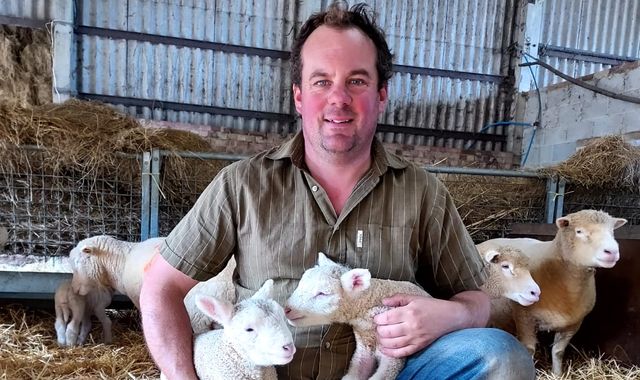 Thieves feared to have slaughtered more than 100 stolen sheep - as criminals 'weaponise' cost of living crisis - Vimarsana News