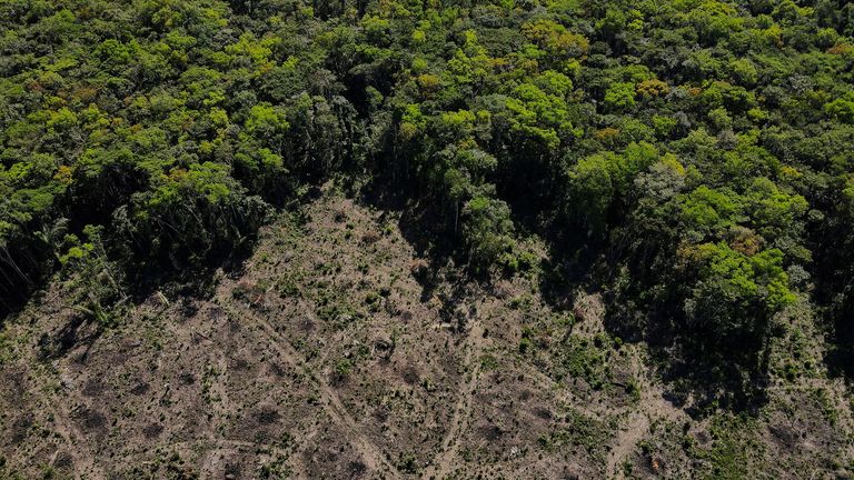 FILE PHOTO: An aerial view shows a deforested plot of the Amazon rainforest in Manaus, Amazonas State, Brazil July 8, 2022. REUTERS/Bruno Kelly/File Photo
