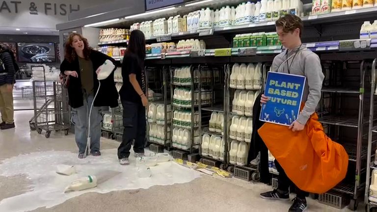 Animal Rebellion demonstrators pour milk in a Waitrose in Edinburgh