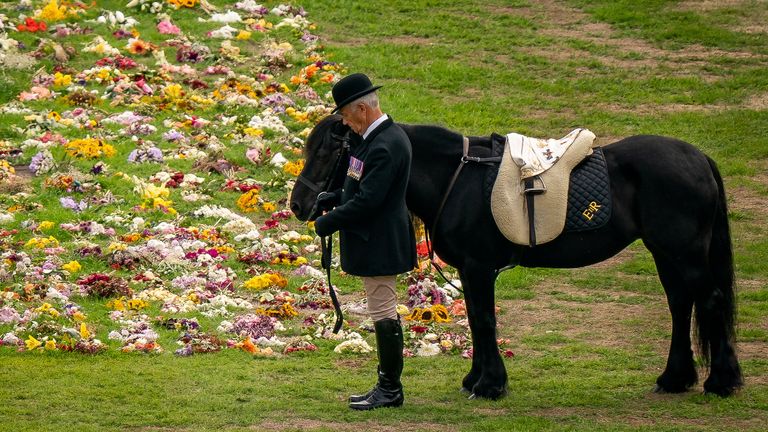 Emma, the monarch&#39;s fell pony, stands as the Ceremonial Procession of the coffin of Queen Elizabeth II arrives at Windsor Castle for the Committal Service at St George&#39;s Chapel. Picture date: Monday September 19, 2022. Aaron Chown/Pool via REUTERS