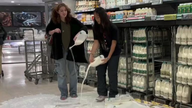 Animal Rebellion supporters pour out milk in Edinburgh Waitrose