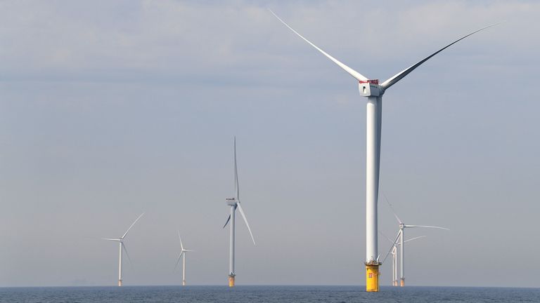 Wind turbines from Vattenfall are seen at the North Sea in Scheveningen, Netherlands August