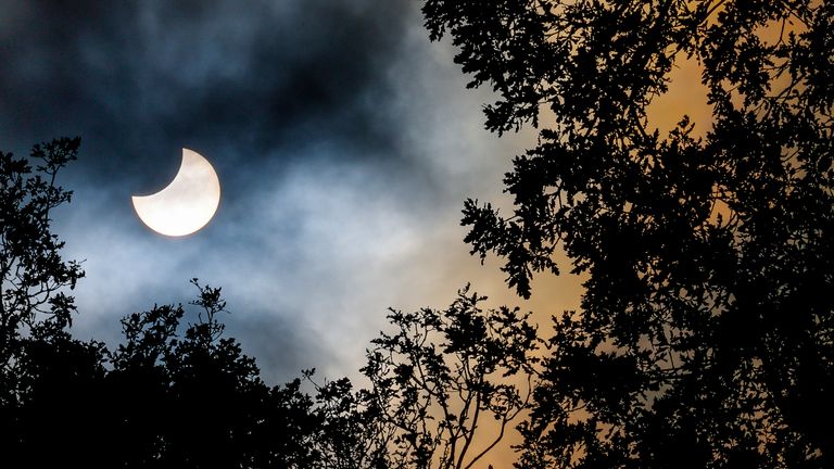 The moon moves in front of the sun during a partial solar eclipse over Hamburg&#39;s Stadtpark. The partial eclipse can be seen in parts of Europe, Africa and Asia. Photo by: Axel Heimken/picture-alliance/dpa/AP Images