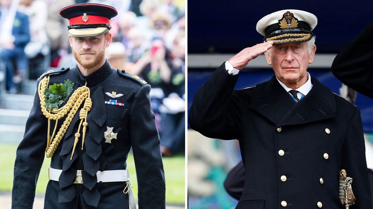 Prince Harry has been replaced as Captain General of the Royal Marines  by King Charles