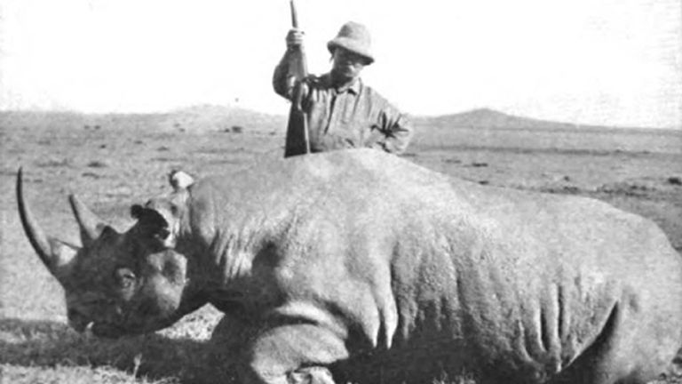  The Rhino Resource Centre of former US President Theodore Roosevelt standing over a black rhino he had just killed, taken in 1911