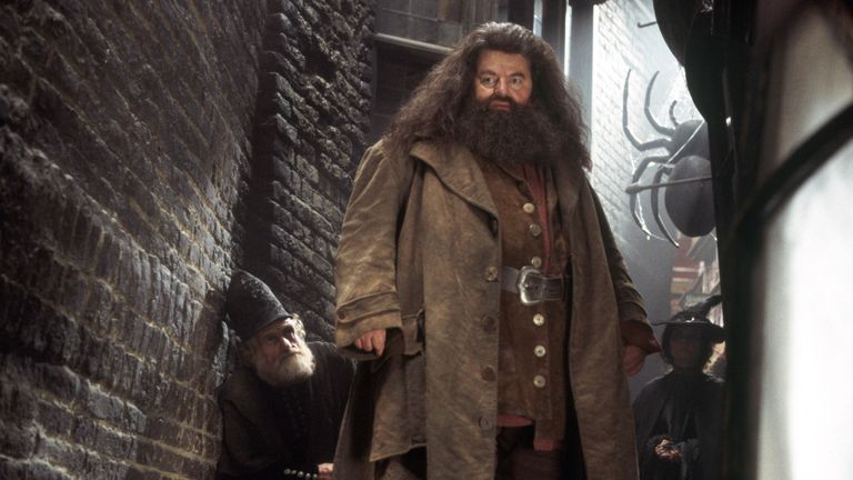 DO NOT USE AGAIN.    NO RE-USE PERMITTED

Robbie Coltrane as Hagrid in Harry Potter and the Chamber of Secrets. Pic: Lux/The Hollywood Archive/Alamy