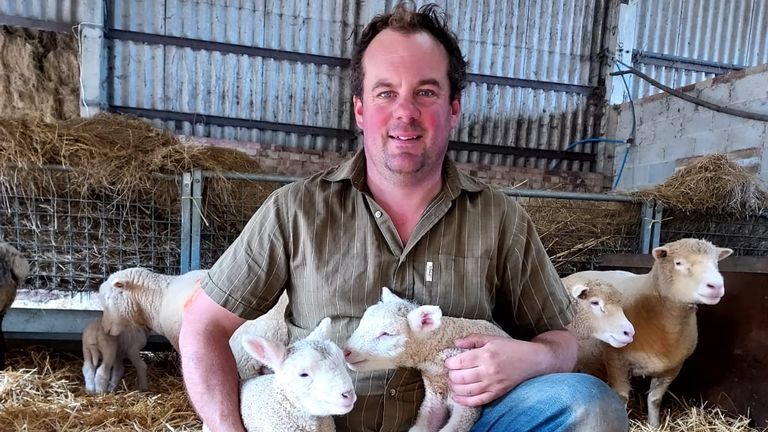 Ed Lovejoy says more than 100 of his sheep were stolen from his farm in Kent