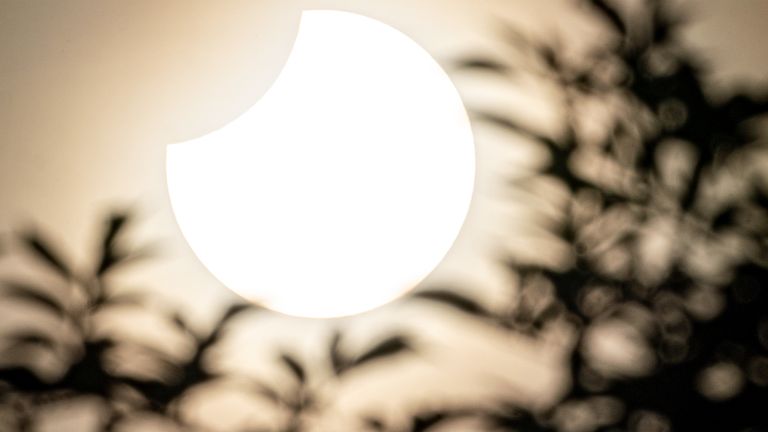 During a partial eclipse, the sun is above the treetops in the Bristol sky. Image Date: Tuesday, October 25, 2022.