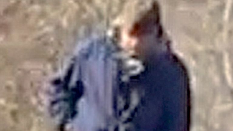 Image of the suspect released in February 2017. Photo: AP