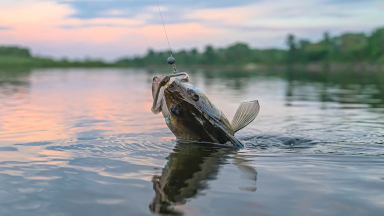 Worth first plaice? Cheating scandal rocks competitive fishing world after  weights found in Ohio catches, US News
